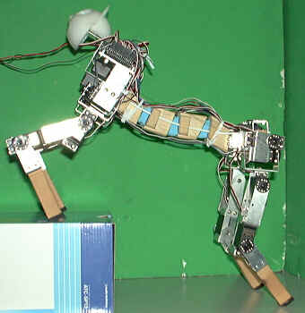 SQ43.H1.JPG - 14,516BYTES